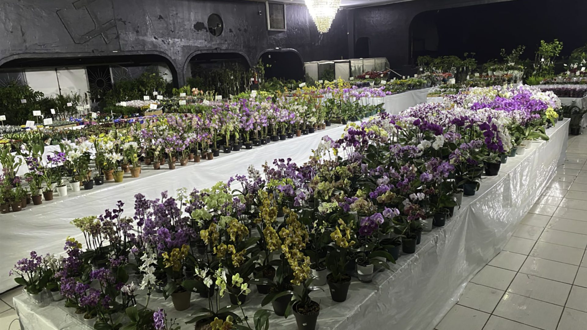 fluid-glassCapturar1.png-standard-scale-2_00x